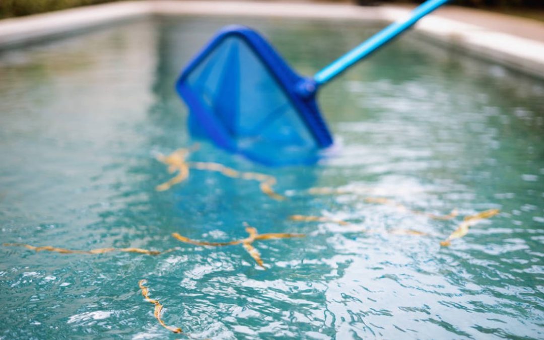 Hamarosan itt van a MEDENCESZEZON!!!